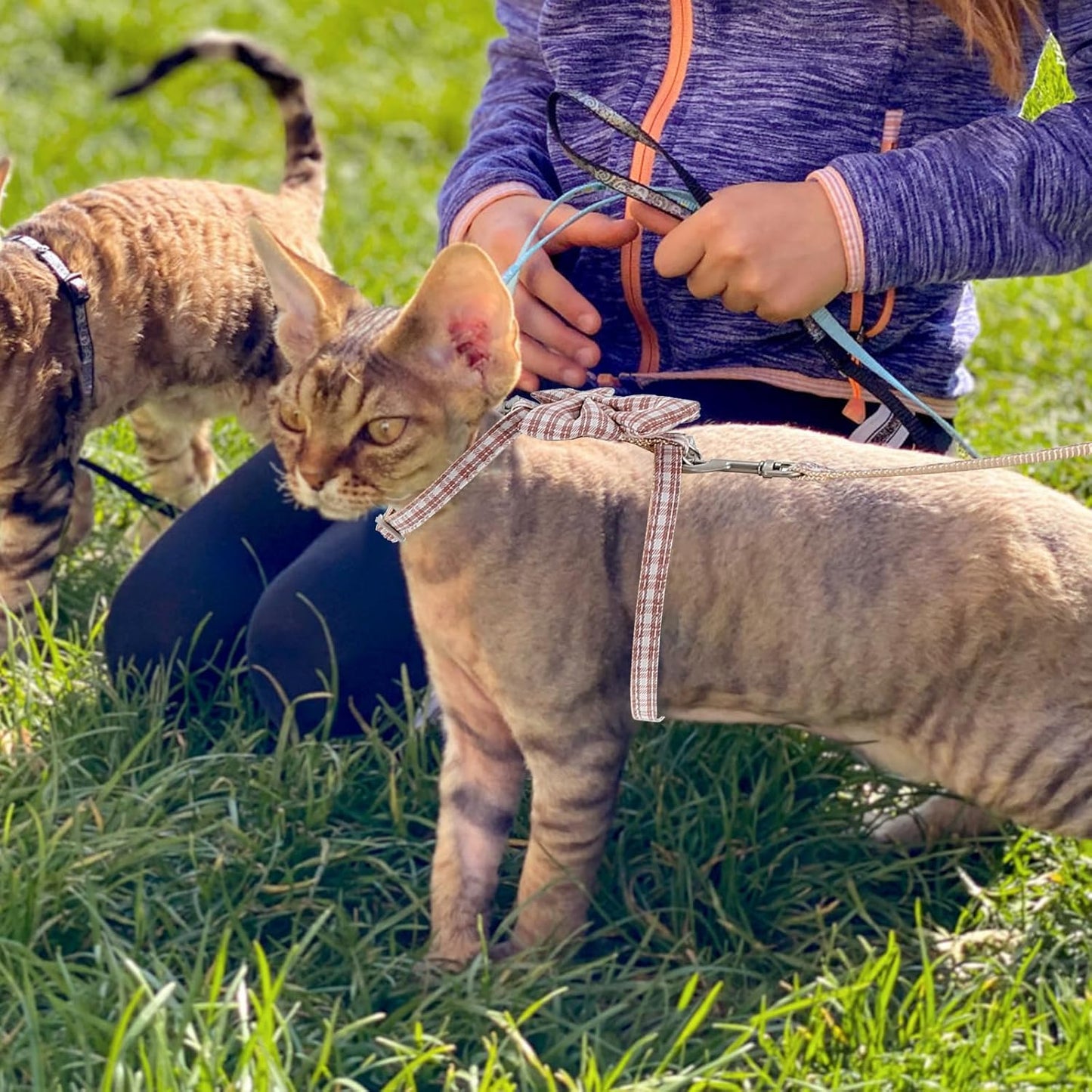 ERINGOGO Adjustable Cat Harness and Leash Set, Anti-Escape Pet Traction Strap with H-Style Vest, Small Size 1.0M Pink for 3-7 Lb Cats Outdoor Walking