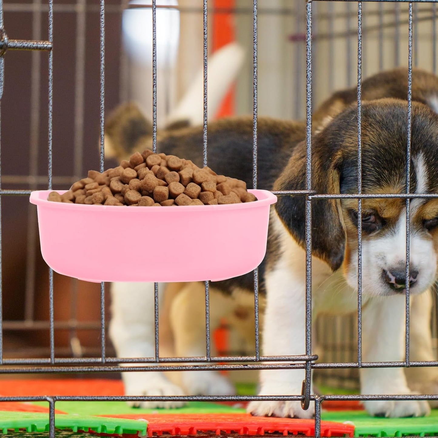 Hanging Plastic Pet Bowl for Cats and Small Dogs, Round Puppy Feeding Dish with Kennel Mount, Practical Lightweight Water and Food Holder for Travel and Home Use