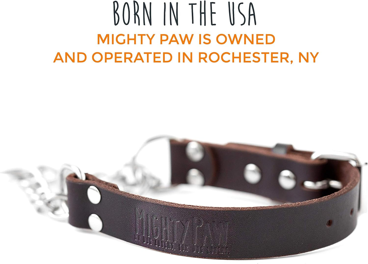 Mighty Paw Martingale Dog Collar - No Pull Design - Stainless Steel Chain - Limited Chain Cinch Training - Brown Leather Martingale Training Collar - Medium Size