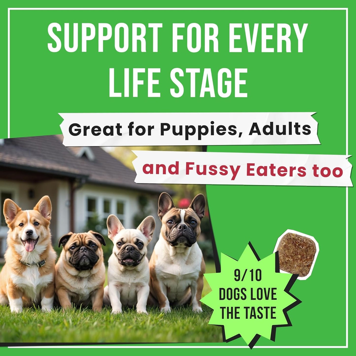 No Poo Chews for Dogs - Coprophagia & Stool Eating Deterrent with Probiotics, Digestive Enzymes & Breath Aid Support - Stop Dog Poop Eating - Made in USA - 120Ct (Beef Liver)