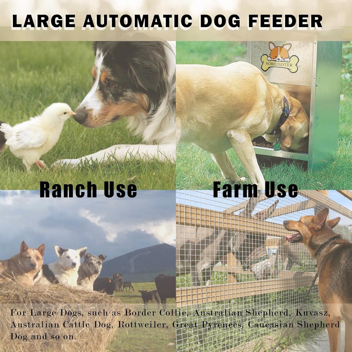 Outdoor Dog Feeder - Holds 40 lbs Food and 500 ml Water - Galvanized Steel Plate for Rain and Sun Protection - Latest Style Auto Large Dog Feeder - Big Dogs can Easily Eat