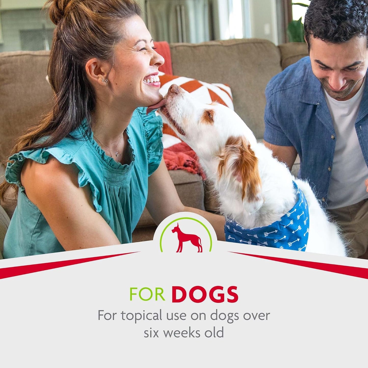 FURminator® Rinse-Free deShedding Spray For Dogs, Helps Reduce Excess Shedding And Refreshes Between Baths, 8.5 Fluid Ounces