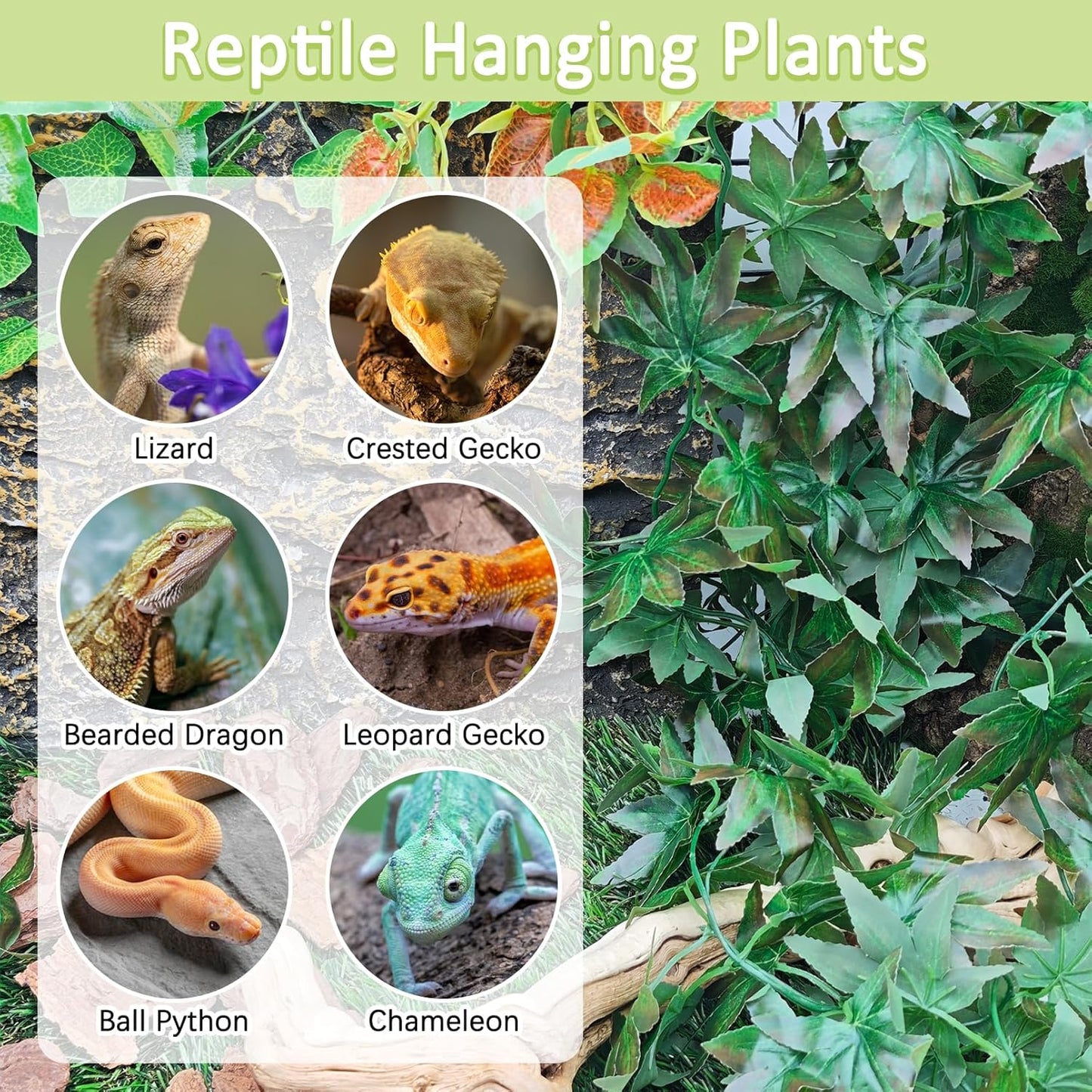 BNOSDM Reptile Plants Habitat Decorations with Suction Cup Terrarium Hanging Plant Bearded Dragon Tank Accessories Artificial Leaves Reptile Hide for Lizard Snake Leopard Gecko Chameleon (Green)