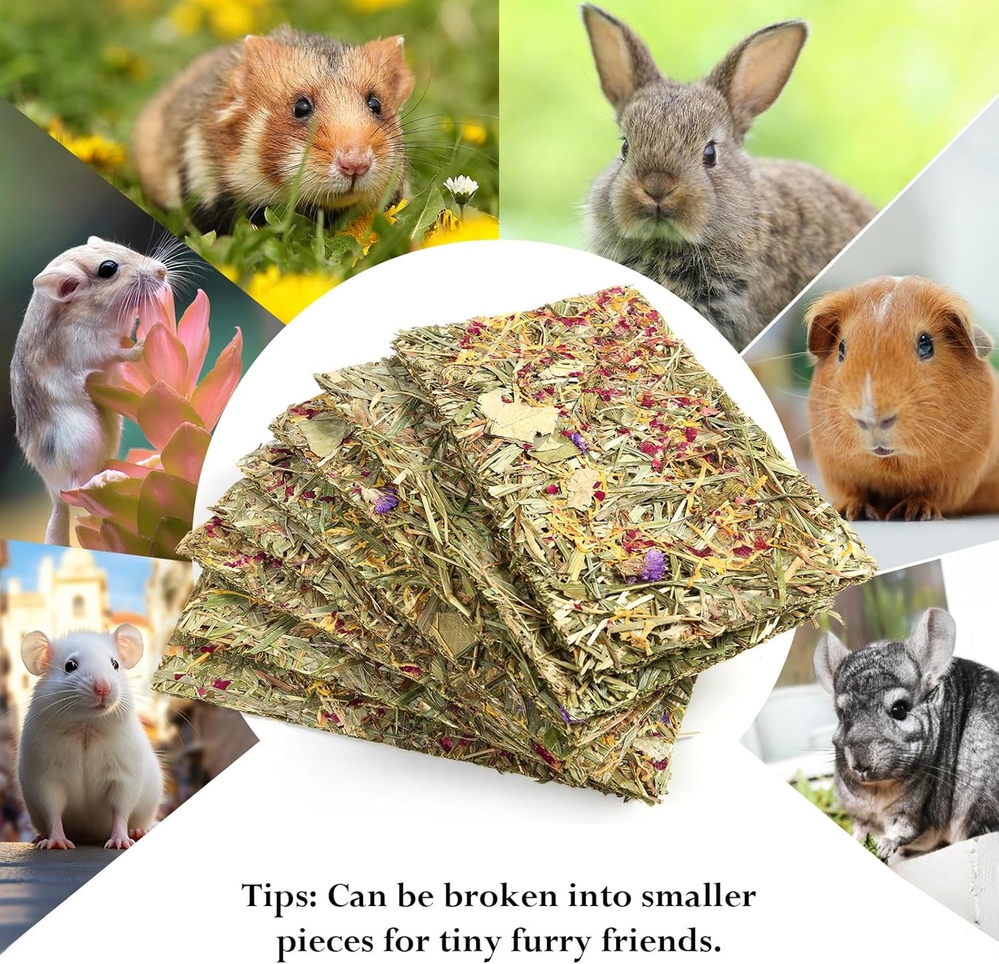 Abizoo Rabbit & Guinea Pig Treats 8 Pack Timothy Hay Bunny Chew Toys with Herbal Flowers Timothy Hay Forage Mix for Rabbits Guinea Pig Chinchillas Hamster Gerbils Rats Small Animals Teeth Care(Large)