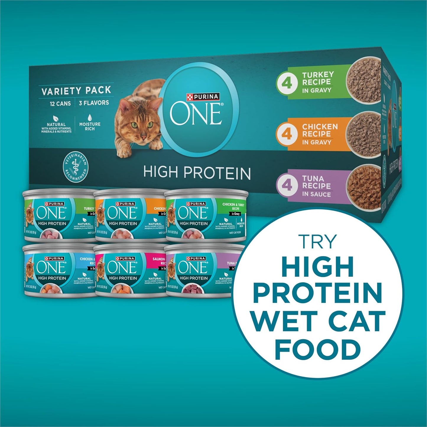 Purina ONE Plus High Protein Cat Food Dry Salmon and Ocean Whitefish Cat Skin and Coat Health Formula - 22 lb. Bag