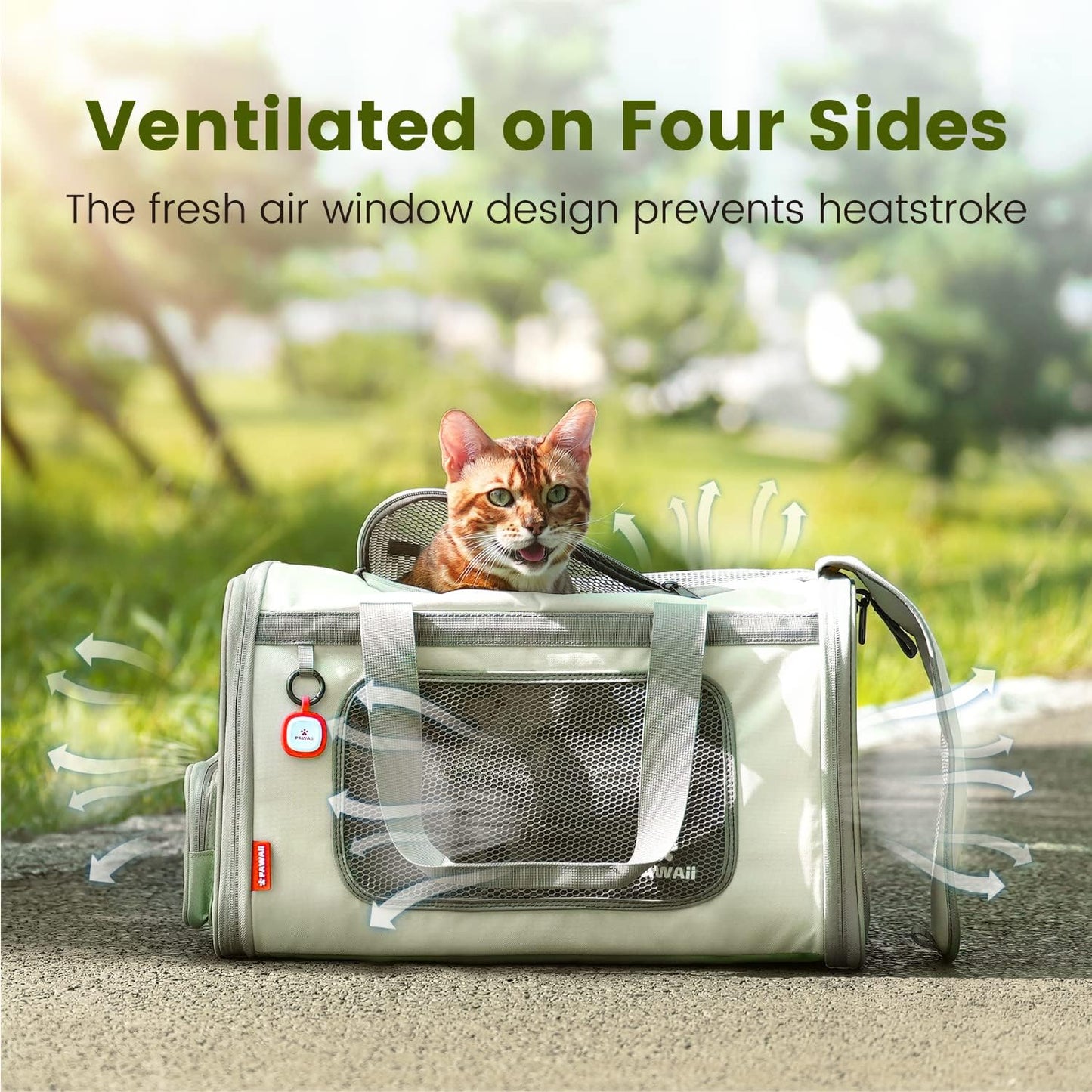 Pawaii Cat Carrier with ID Tag, TSA Airline Approved Soft Sided Collapsible Pet Travel Carrier, Portable Comfortable Convenient Foldable Cat Travel Bag