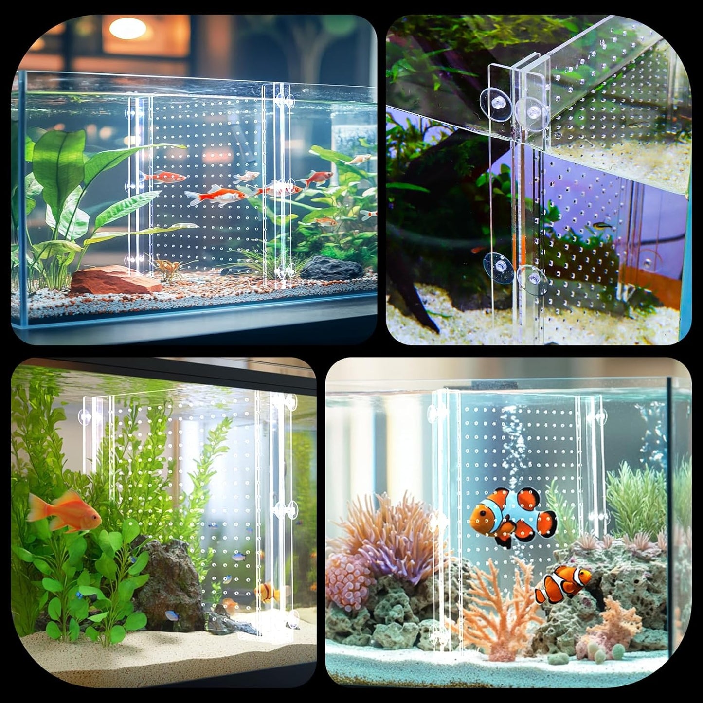 Adjustable Acrylic Aquarium Divider Set - Universal Fish Tank Separator for Multi-Purpose Fish Isolation (2 Sizes Optional (11.02''x11.02'')