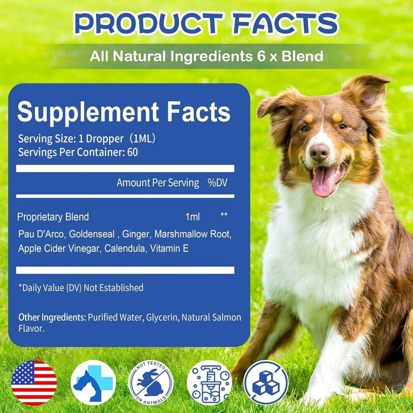Yeast Infection Treatment for Dog, Natural Dog Yeast Infection Relief for Itchy Skin & Ear - Allergy & Paw Itching, Soothes Irritation & Reduces Inflammation Herbal Dog Supplement Drops
