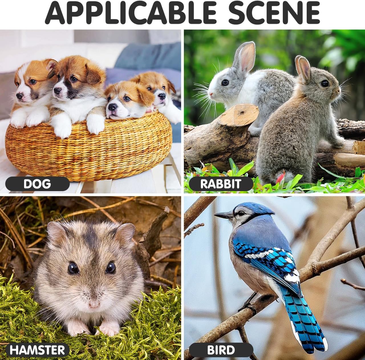 Garneck 2Pcs Plastic Dog Crate Tray Replacement - Durable Bottom Tray for Dog Kennels - Rabbit Cages and Small Pets 41x27cm Size Easy for Pet Training and Preventing