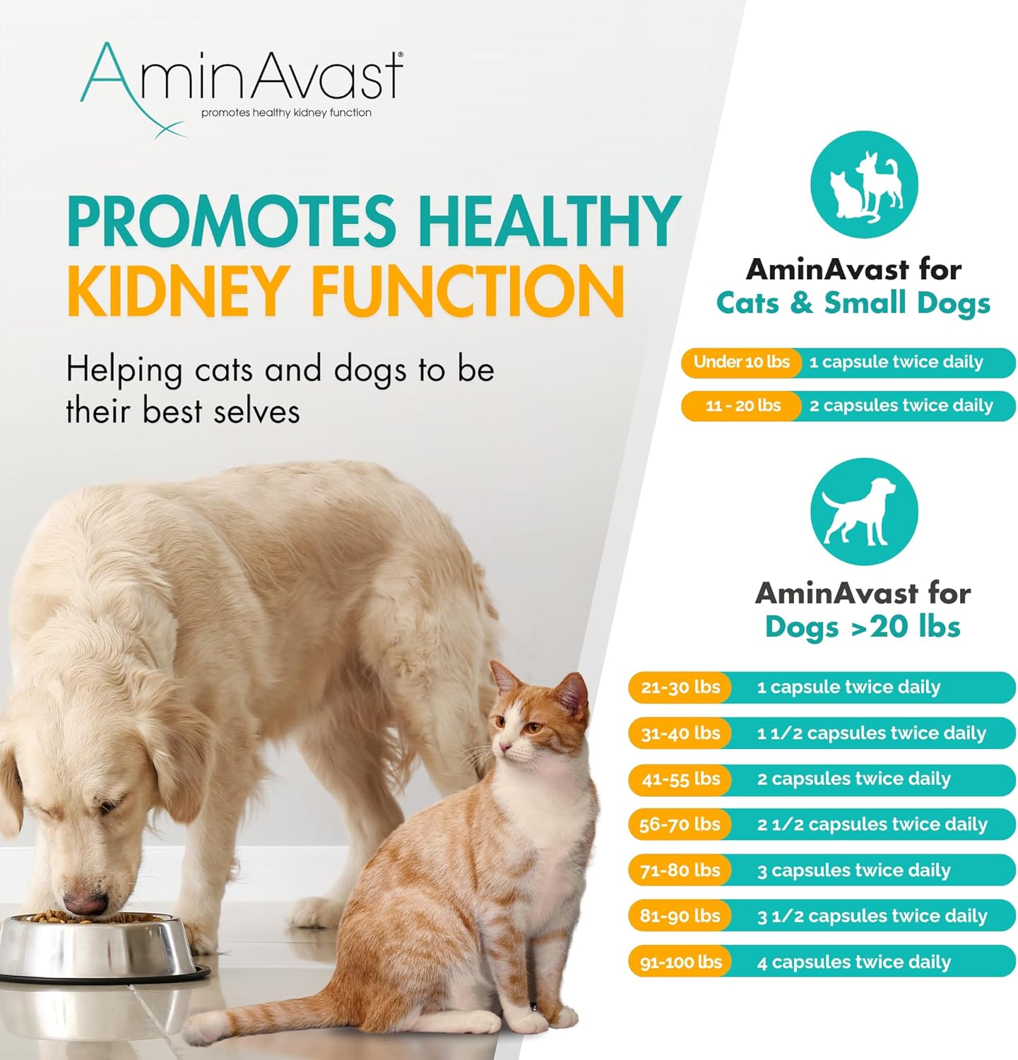 AminAvast Dog Kidney Supplement - Supports Natural Kidney Function - Promotes Health & Vitality of Aging Kidneys - Pet-Friendly, 1000mg, 60 Capsules.