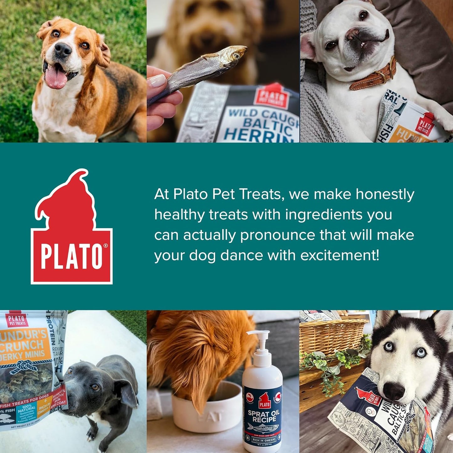 Plato Pet Treats Fish Dog Treats - Air-Dried, Single Ingredient Dog Treat - with Omega 3 & 6 Fatty Acids to Support Skin and Coat - 100% Whole Fish - Wild Caught Baltic Herring Dog Treats - 3oz