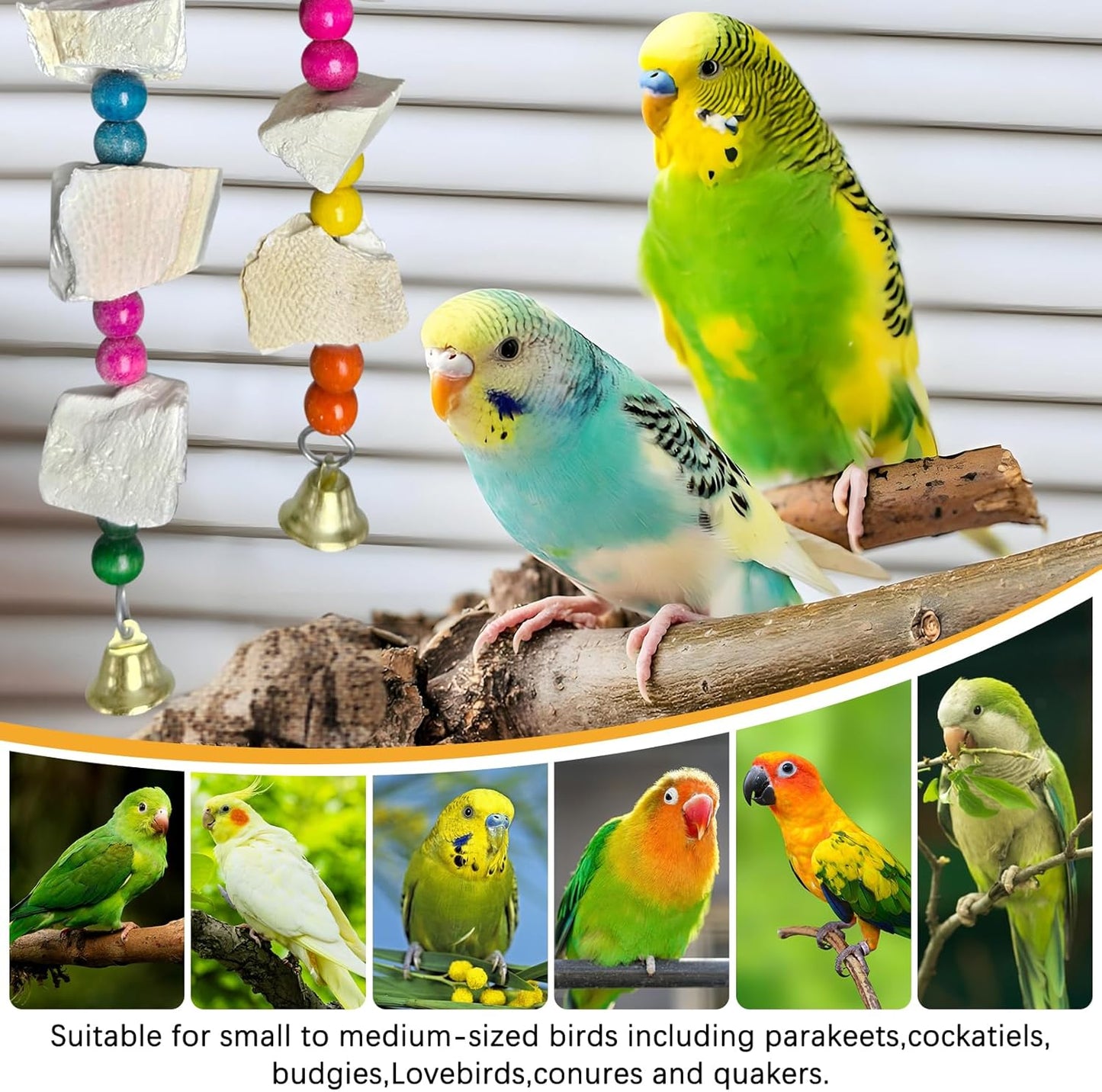Hamiledyi 2 Pack Bird Toys with Five Cuttlebone - Natural Calcium Chew Toy for Beak Grinding, Hanging Wooden Cage Accessories for Parakeets, Budgies, Cockatiels, Lovebirds(Style C)