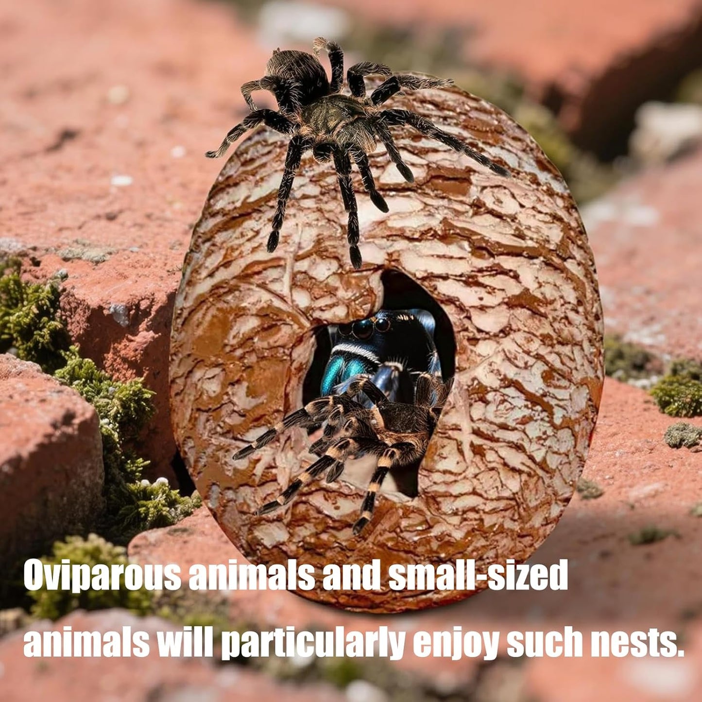 Low Maintenance Reptiles Habitat Upgrade Dinosaur Hide Cave with Textured Exterior Terrarium Stress Relief Decor Hot Swappable Terrariums Addons