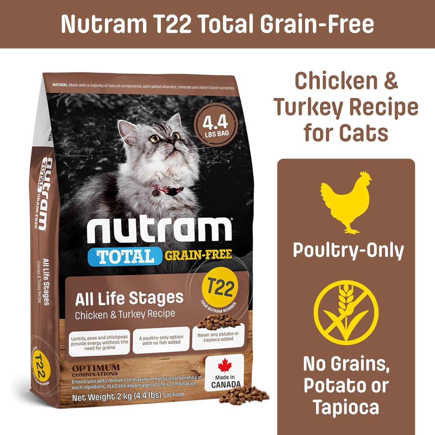 T22 Grain-Free Cat Food – Chicken & Turkey Dry Kibble | Holistic andHigh Protein, Urinary Support, Clean Nutrition for Adult Cats & Kittens | Supports a Strong Immune System (4.4 Pounds)