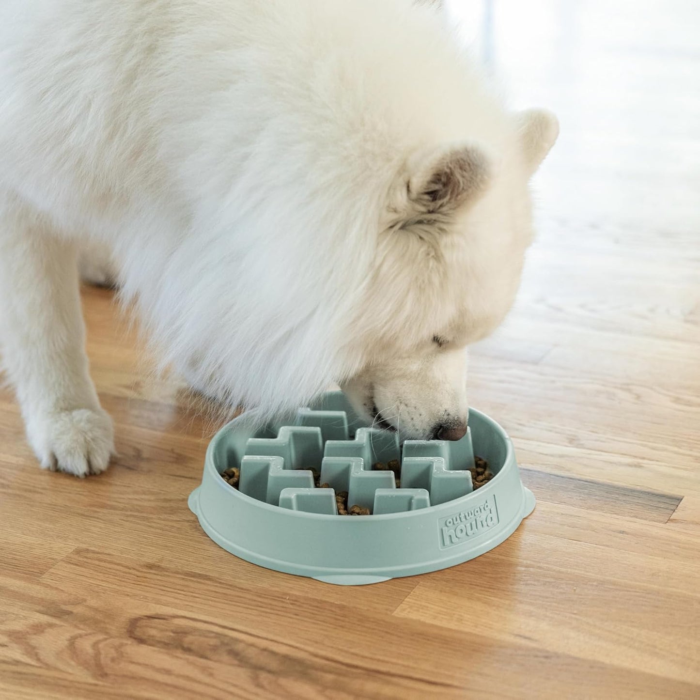 Outward Hound Large Slow Feeder Bowl, Puzzle Maze for Fast Eaters, Medium to Large Dogs, Helps Prevent Bloat & Aid Digestion, Holds 4 Cups Wet or Dry Food, Non-Slip, Made Without BPA, Sage