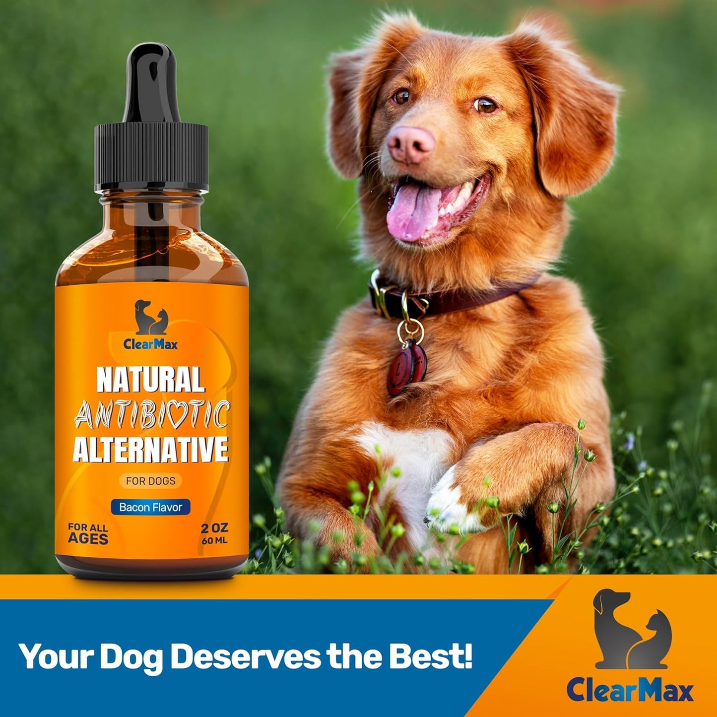 Dog Antibiotics for Infections, Allergies, Coughs β Natural Antibiotics for Dogs with Cranberry Provide Urination & Digestion Care β Natural Ingredients + Bacon Flavor β 2 Oz