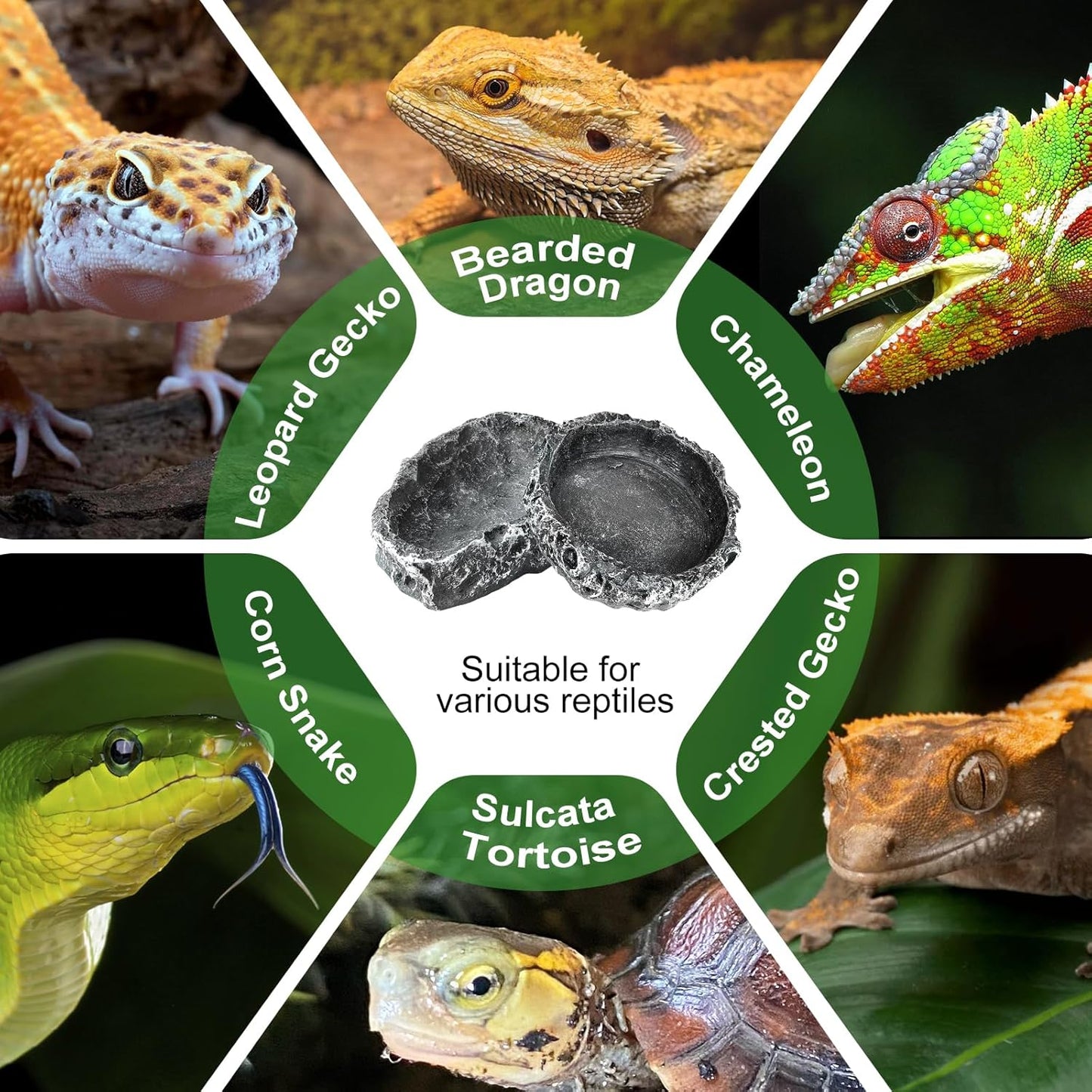 TRUVIC Reptile Habitat Decor Kit: Resin Tree Trunk Reptile Hide & Dual Feeding Dish Set