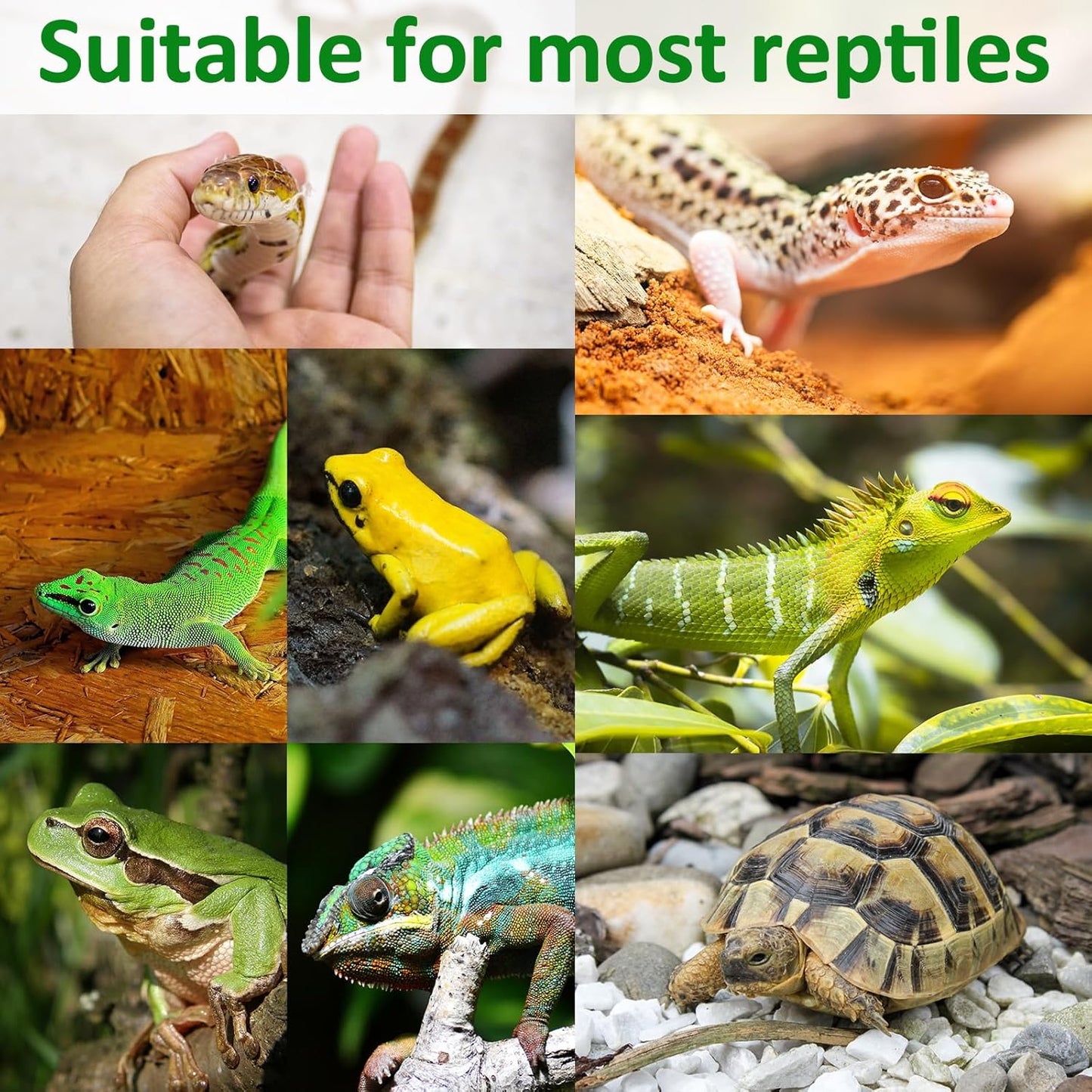 Halatool 12″×30″ Reptile Carpet for 20 Gallon Reptile Tank, 2 Pack Coconut Fiber Mat Thick Terrarium Bedding Cage Liner Tortoise Habitat Accessories for Turtles Lizard Bearded Dragon Leopard Gecko