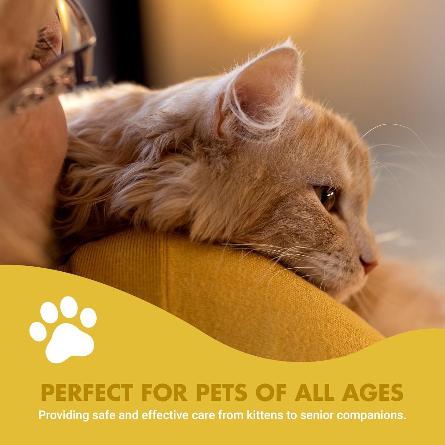 LIQUID-VET Feline Kidney & Bladder Advanced Formula, Seafood Flavor, 8 oz