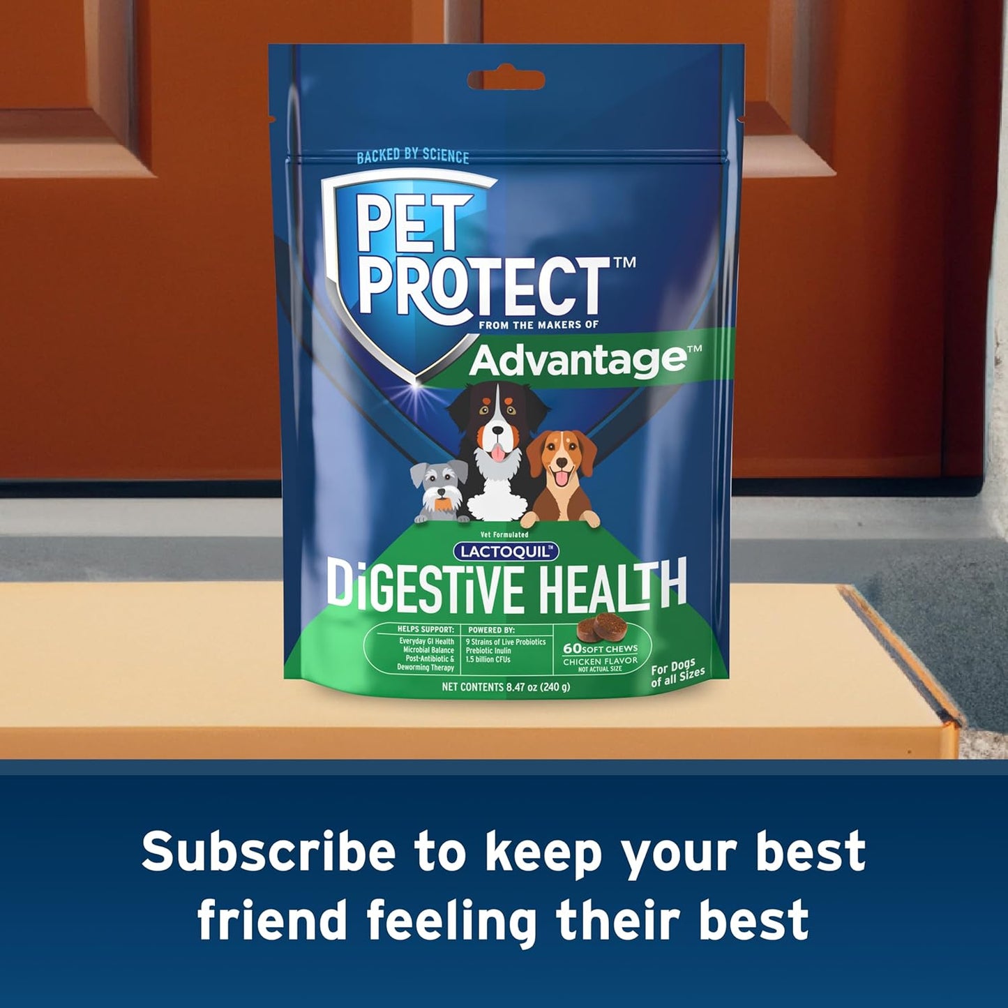Pet Protect Digestive Health Supplement with Probiotics for Dogs, Vet-Formulated Lactoquil, Chicken-Flavored Soft Chews (60 Count)