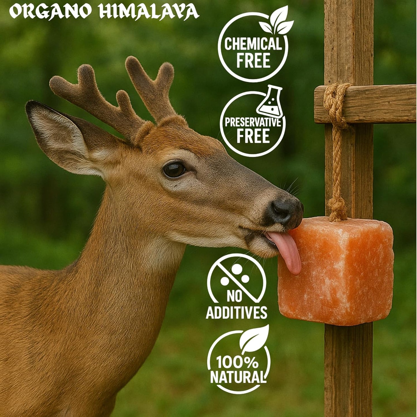 Himalayan Salt Lick On Rope 7.5-8 lb Each (Pack of 2) for Horses, Deer, Goats & Livestock | Natural, Mineral-Rich, Long-Lasting Salt Blocks