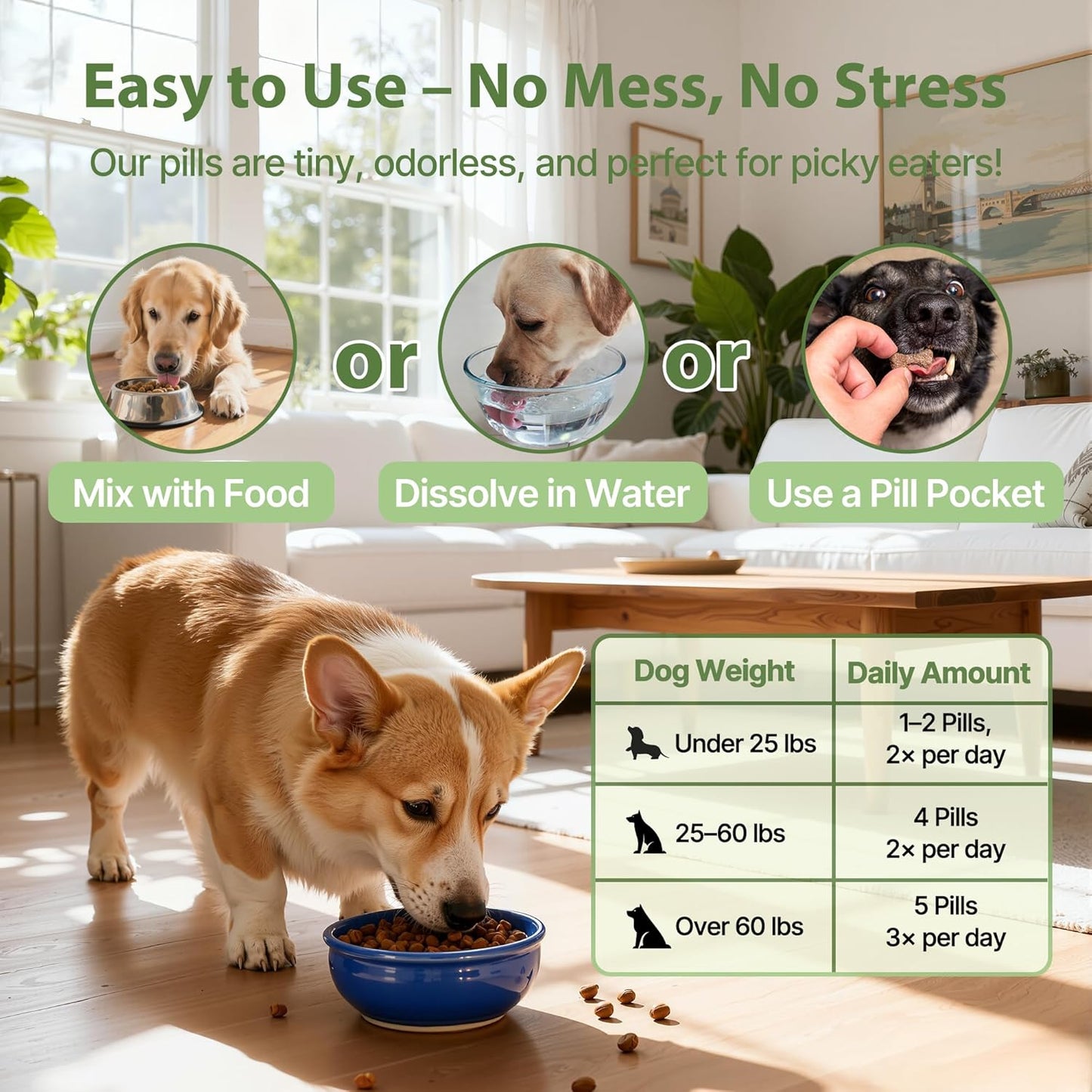 Dog Constipation Relief, Dog Laxative andDog Stool Softener – Herbal and Probiotic Supplement for Constipation Relief forDogs, DogGas Relief – Supports Digestion, Comfort, and Regular Poops