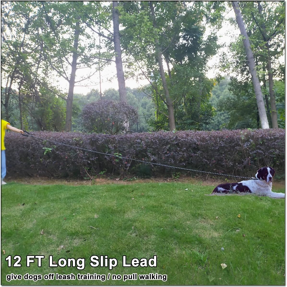 12ft Long Slip Leash with Padded Handle + 6ft Slip Lead Small Dog Training Leash, Black