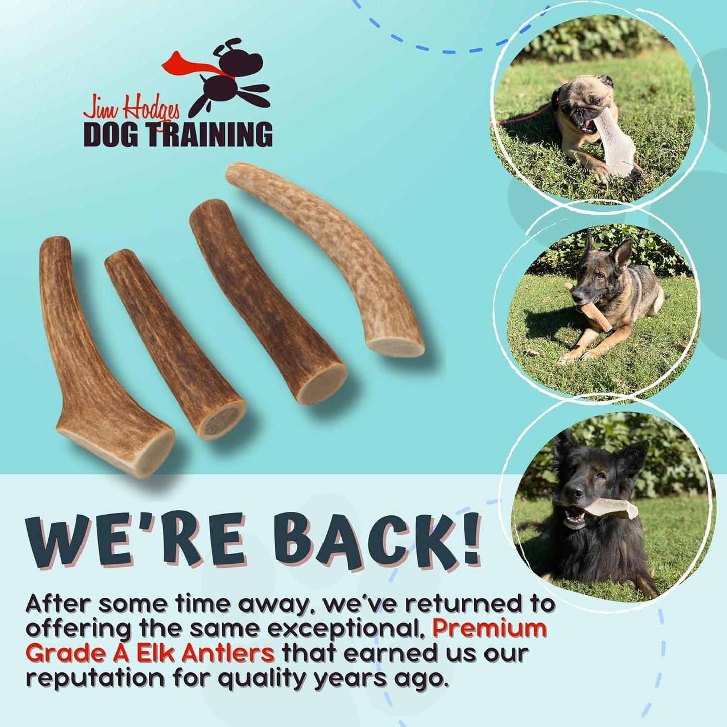 Grade A Premium Quality Elk Antler Dog Chews, Naturally Shed No Preservatives for Mild to Aggressive Chewers, Long Lasting Bone Treat Made in USA (Large Split)