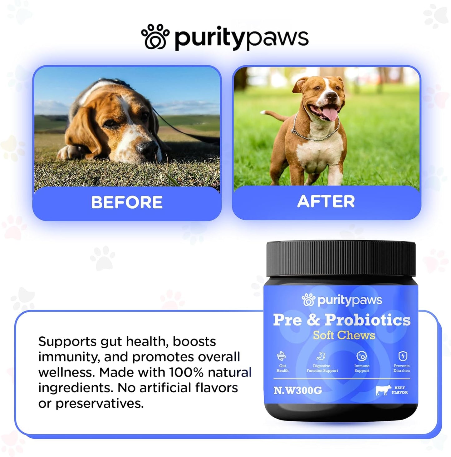 Probiotics for Dogs – Digestive & Immune Support Chews with Probiotics – Natural Gut Health Supplement for Diarrhea, Gas & Allergies (120 Count)