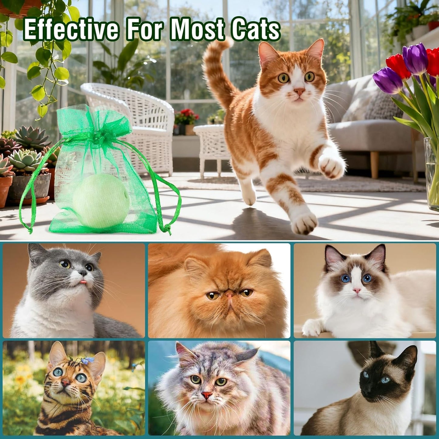 Cat Repellent Outdoor to Keep Cats Away Natural Deterrent White Ball Prevent Cats from Peeing,Guard Against Scratch and Chew 12 Pcs