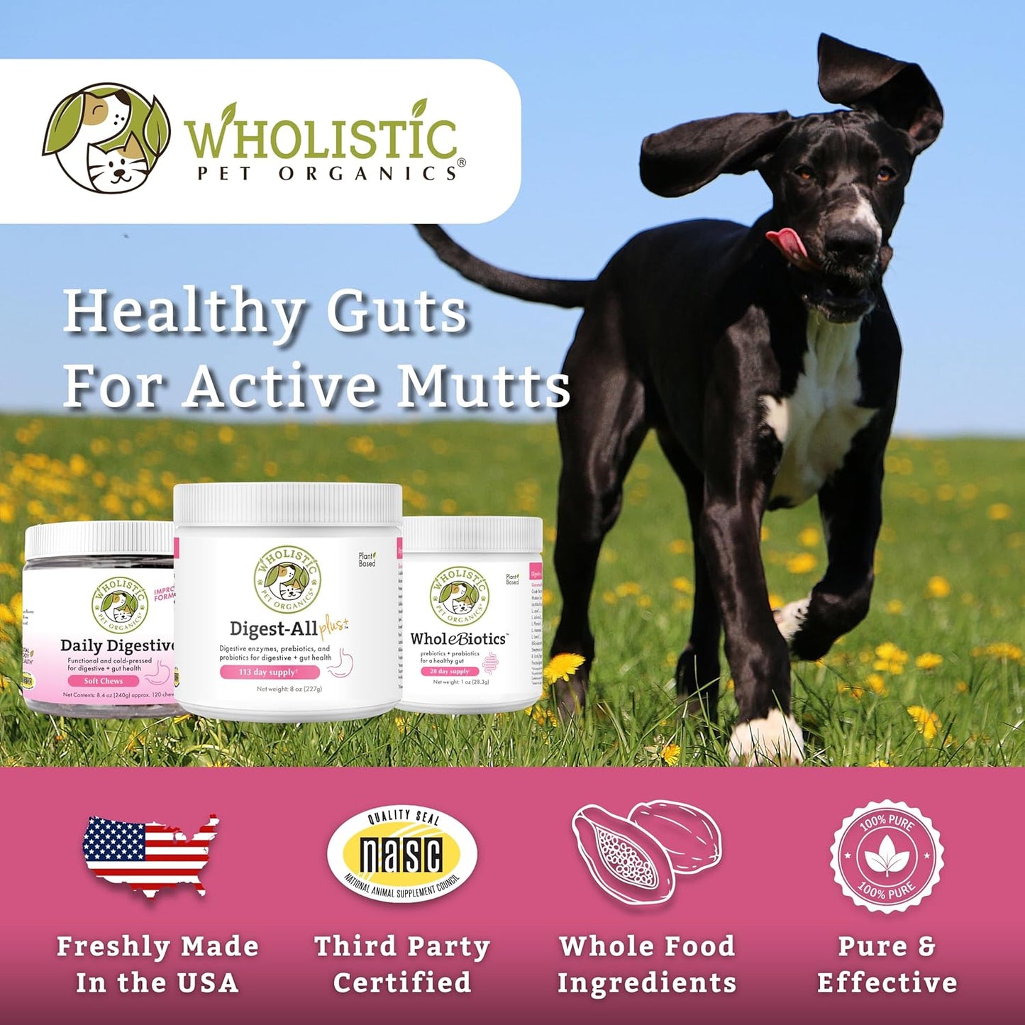 Wholistic Pet Organics Probiotics for Dogs with Digestive Enzymes & Prebiotic Fiber - 4 Oz - Daily Cat & Dog Probiotics for Digestive Health, Anti Diarrhea & Gut Support - Natural Powder Supplement