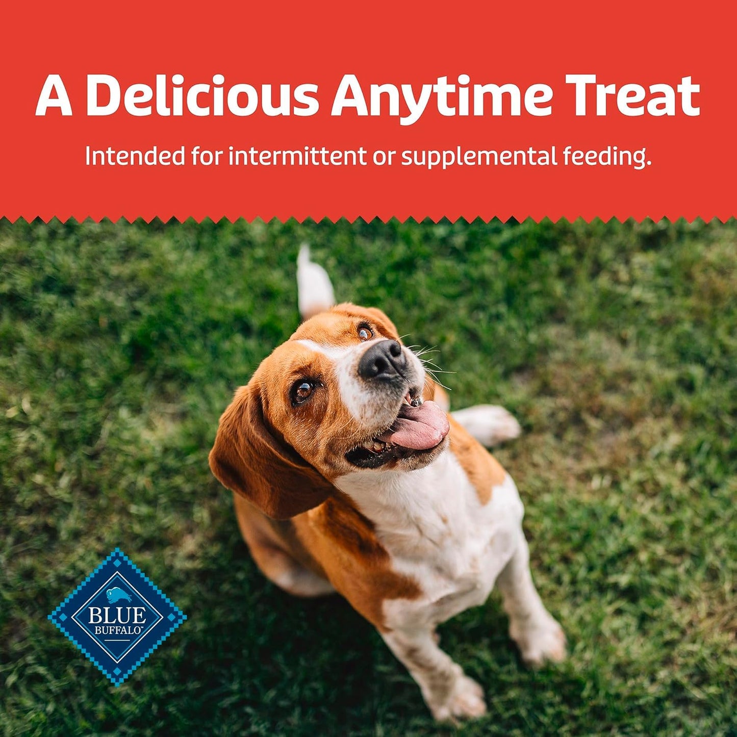 Blue Buffalo Health Bars Crunchy Dog Biscuits, Oven-Baked with Natural Ingredients, Bacon, Egg & Cheese, 16-oz Bag