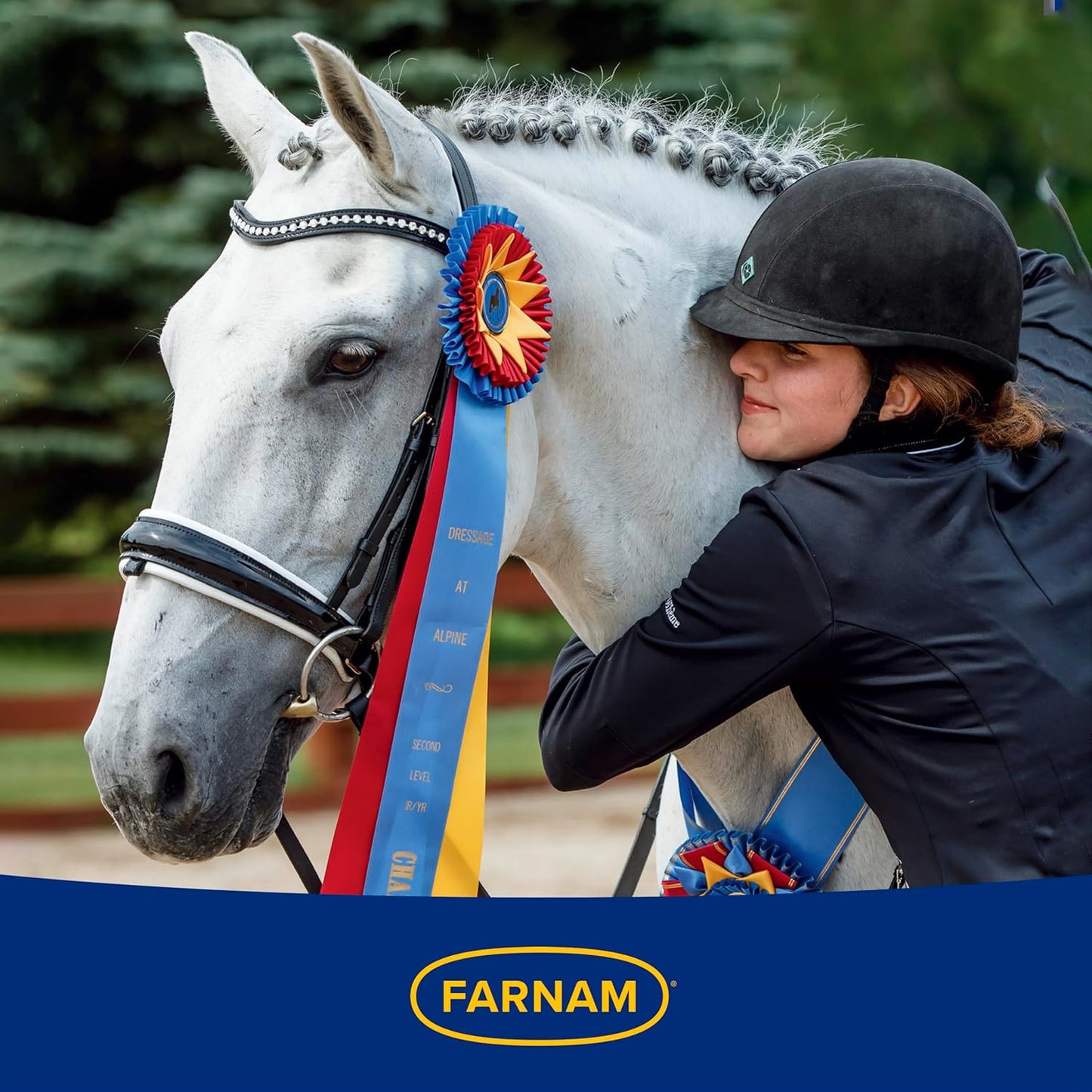 Farnam Wonder Dust Wound Powder, Blood Coagulant for Horses and Show Stock, For Use on Proud Flesh, Granulated Tissue, 4 Ounces