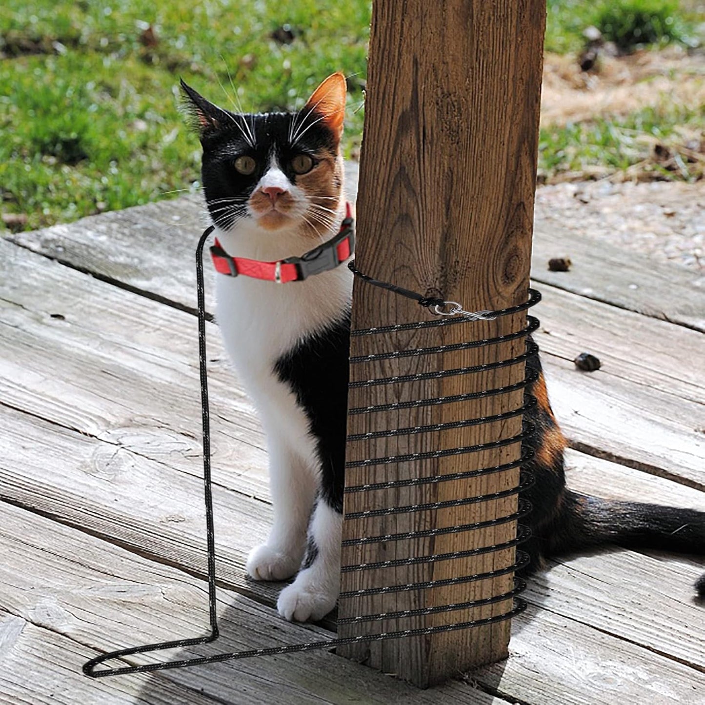 Extra Long Cat Leash for Yard, Lightweight Outdoor Cat Leash Long Light Extension, Long Thin Lead for Rabbits, Kitten, Puppy and Small Animals (4.5M/ 15FT)