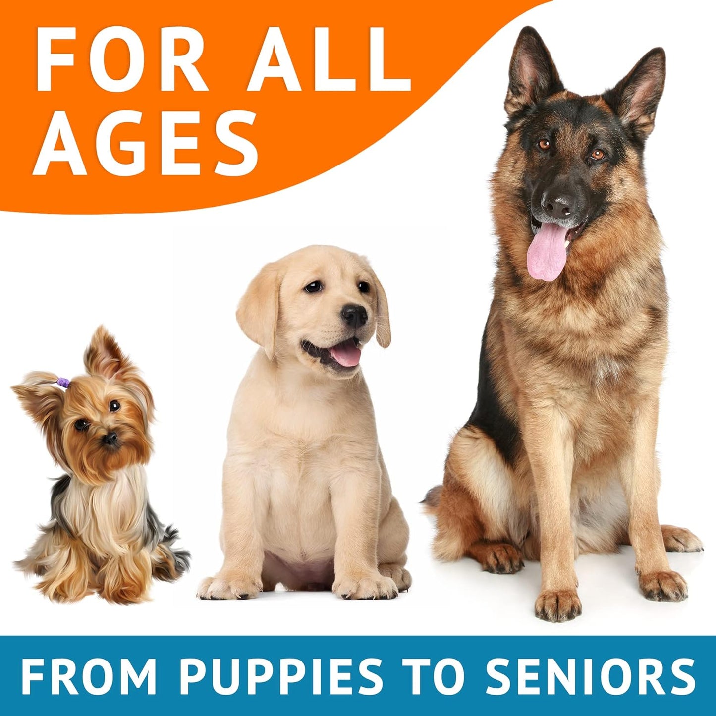 Omega 3 Fish Oil for Dogs (360Ct) - Skin&Coat Chews - Dry & Itchy Skin Relief + Allergy Support - Shiny Coat - EPA&DHA Fatty Acids - Salmon Oil Chews Promotes Heart, Hip & Joint Support