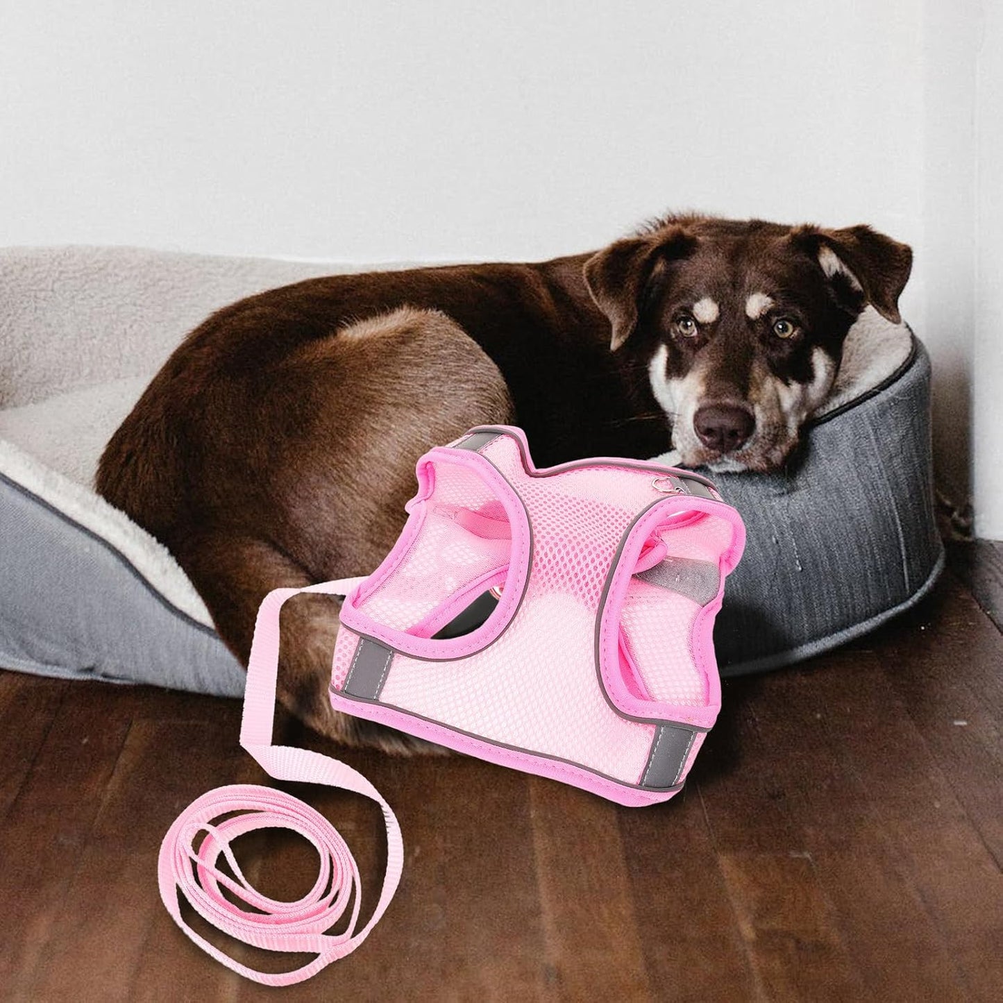 COHEALI Reflective Dog Harness Vest with Breathable Mesh Fabric and Long Leash for Outdoor Walking Comfortable No-Pull Pet Safety Belt for Puppies and Dogs