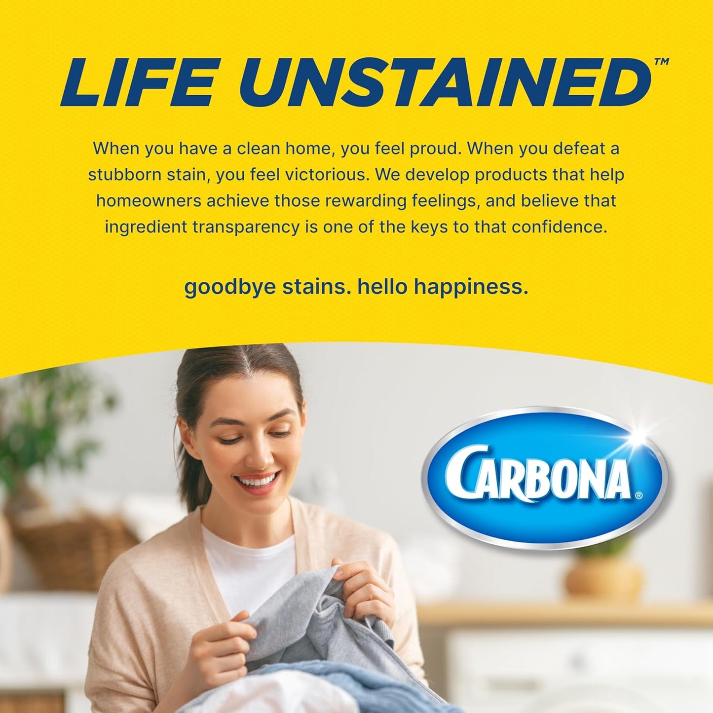 Carbona Oxy-Powered Pet Stain & Odor Remover | Carpet Cleaner for Pets | 13.5oz