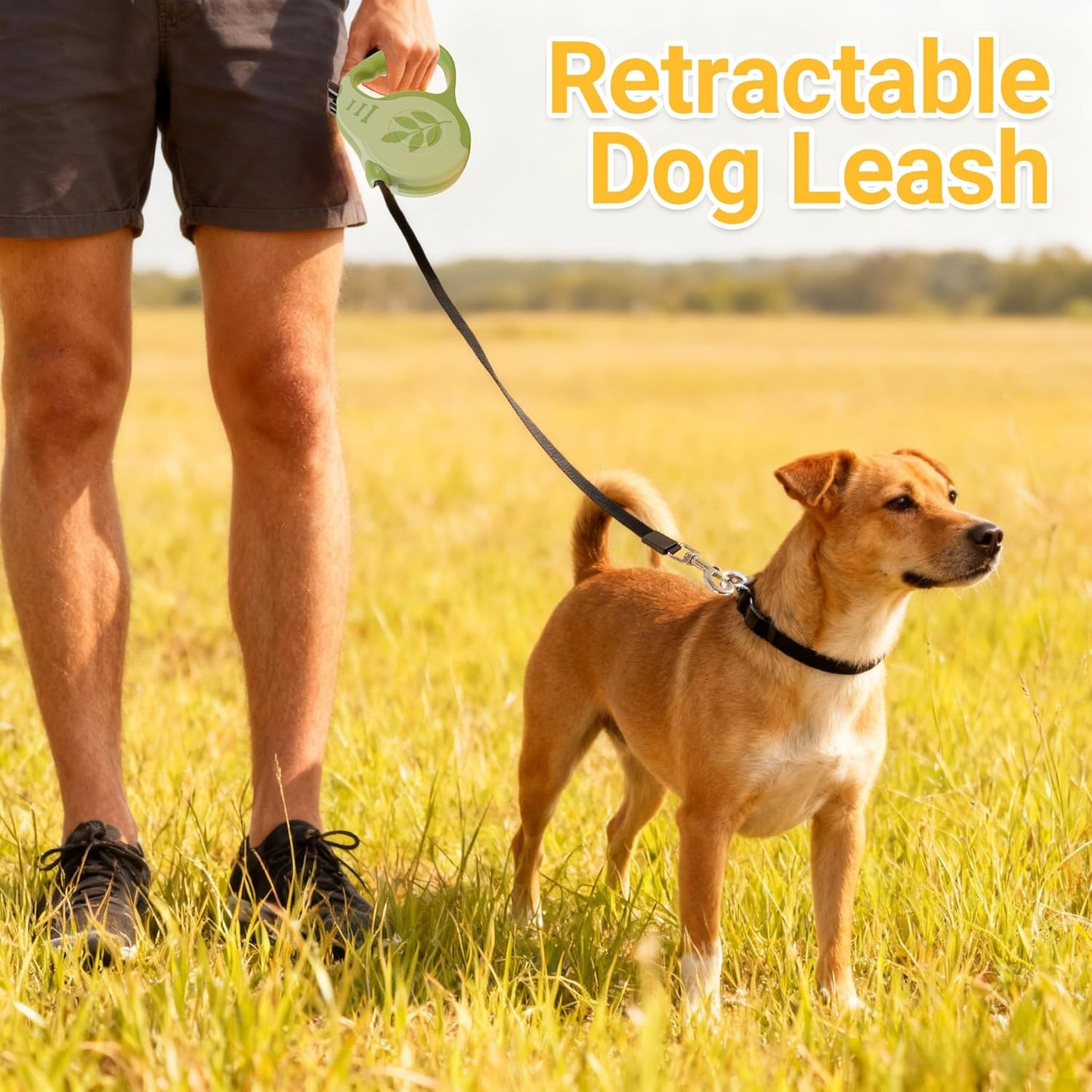 Retractable Dog Leash with Non-Slip Handle, 10 FT Automatic Telescopic Tractor with Atuo Locking Botton,Durable Pet Tape for Small and Medium-Sized Dogs Green