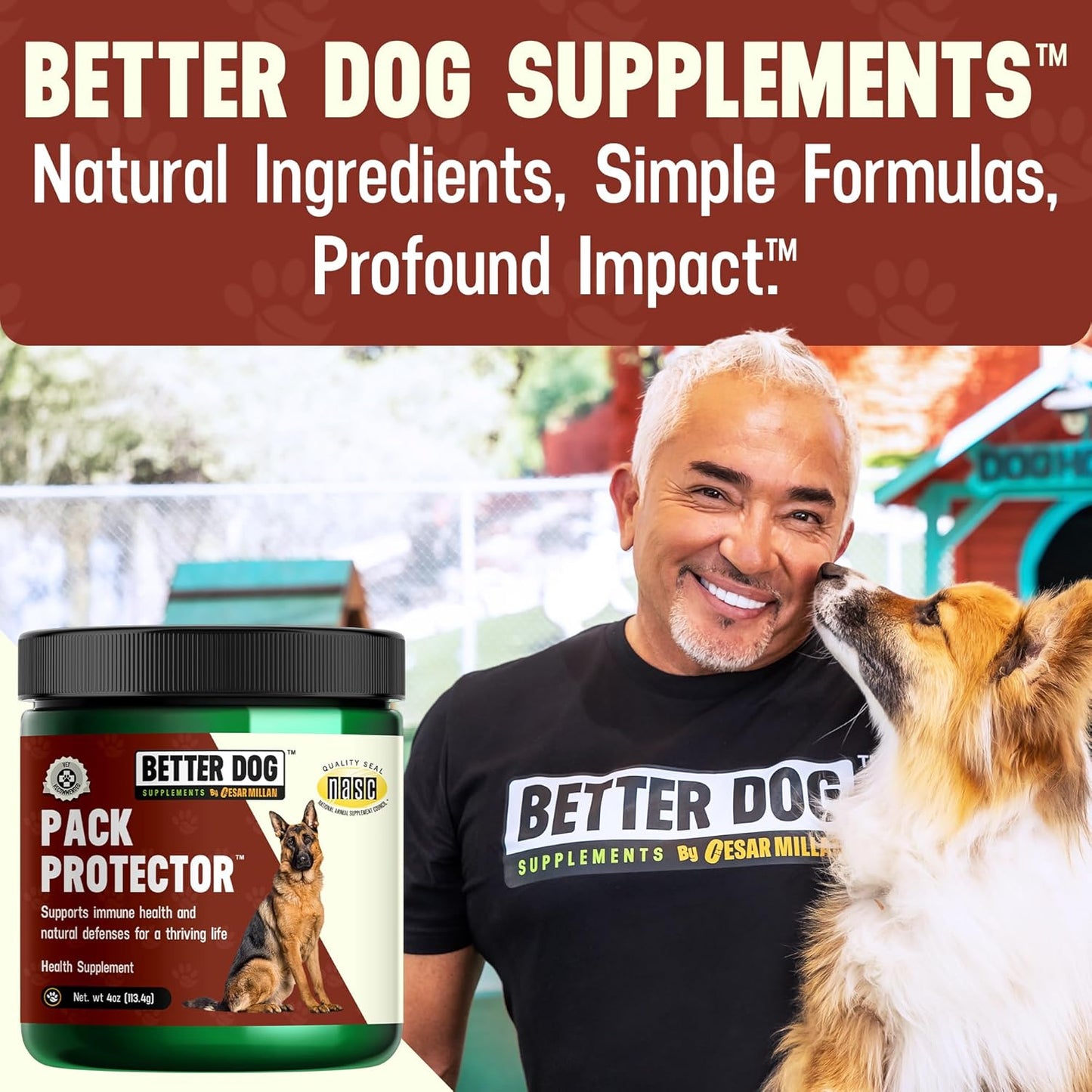 Better Dog Supplements Pack Protector by Cesar Millan โ Natural Immune Support Powder for Dogs โ Daily Immunity, Vitality & Internal Balance with Herbal Antioxidant Blend โ 4oz (60-Day Supply)