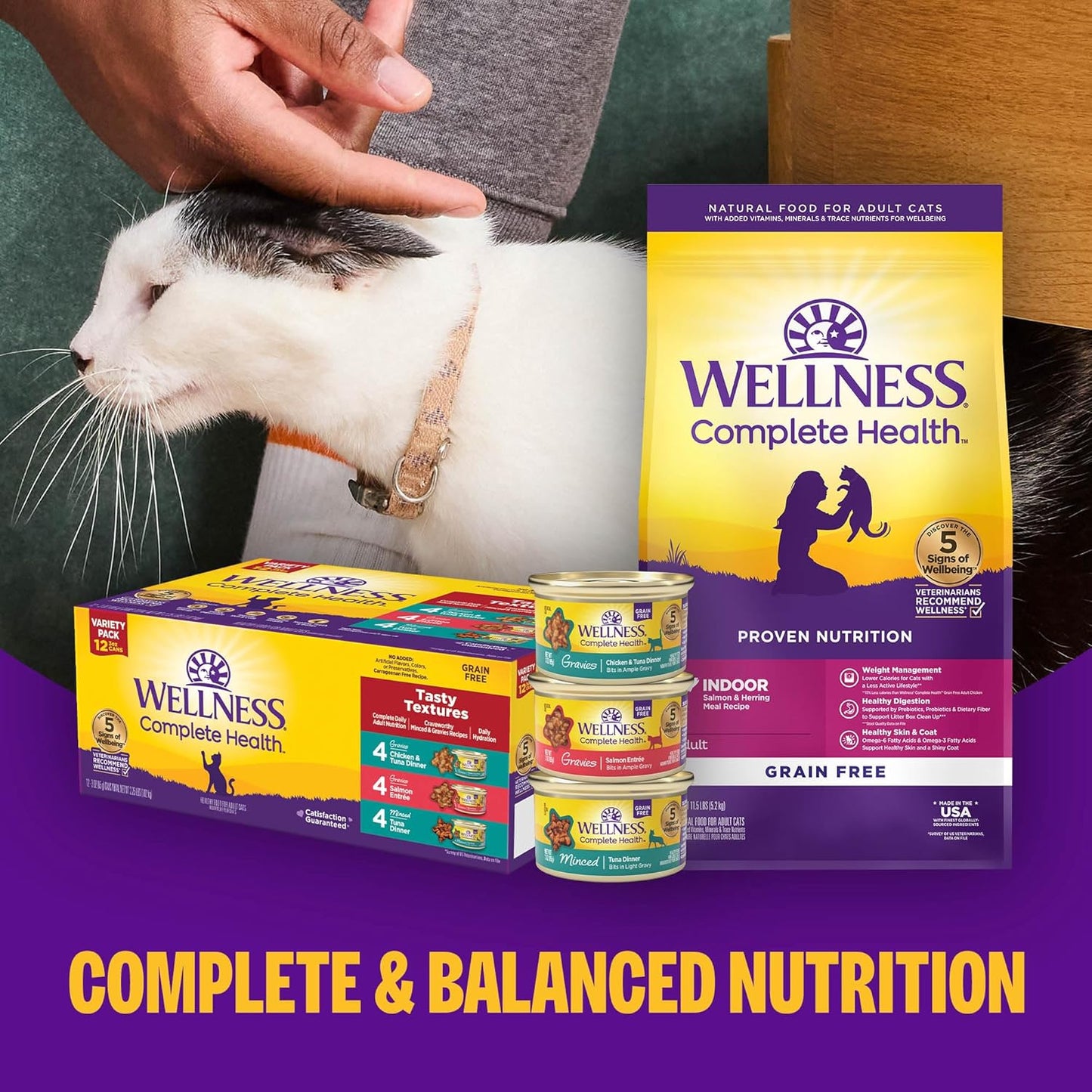 Wellness Complete Health Pate Adult Wet Cat Food, Natural, Protein-Rich, Grain Free, 12.5 Ounce, 12 Pack, (Turkey & Salmon)