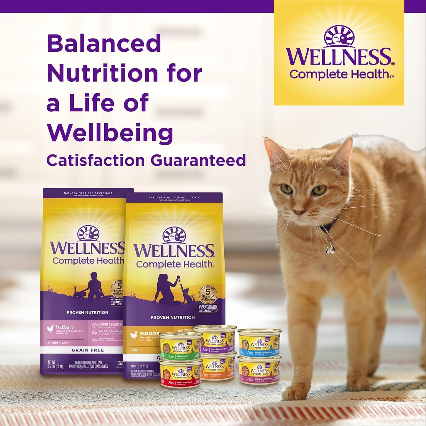 Wellness Complete Health Adult Dry Cat Food for Indoor Cats, Wholesome Grains, Natural, Chicken (5 Pound Bag)