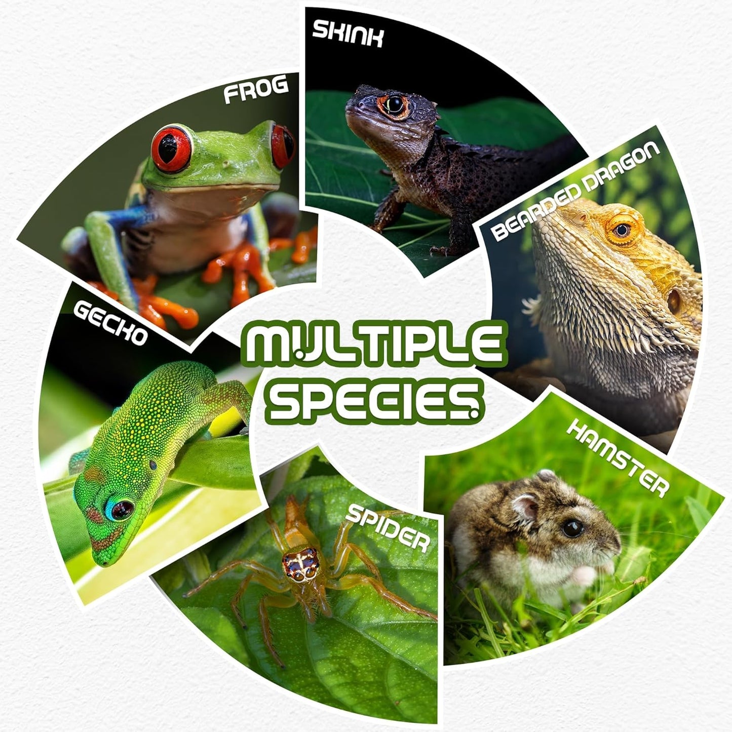 Wall Mount Reptile Hide Cave with Food Bowl for Terrarium Habitat Setup, Cute Hide with Treats Bowl, Essential and Safe Hideout for Gecko, Spider, Lizard, Hamster, Crab