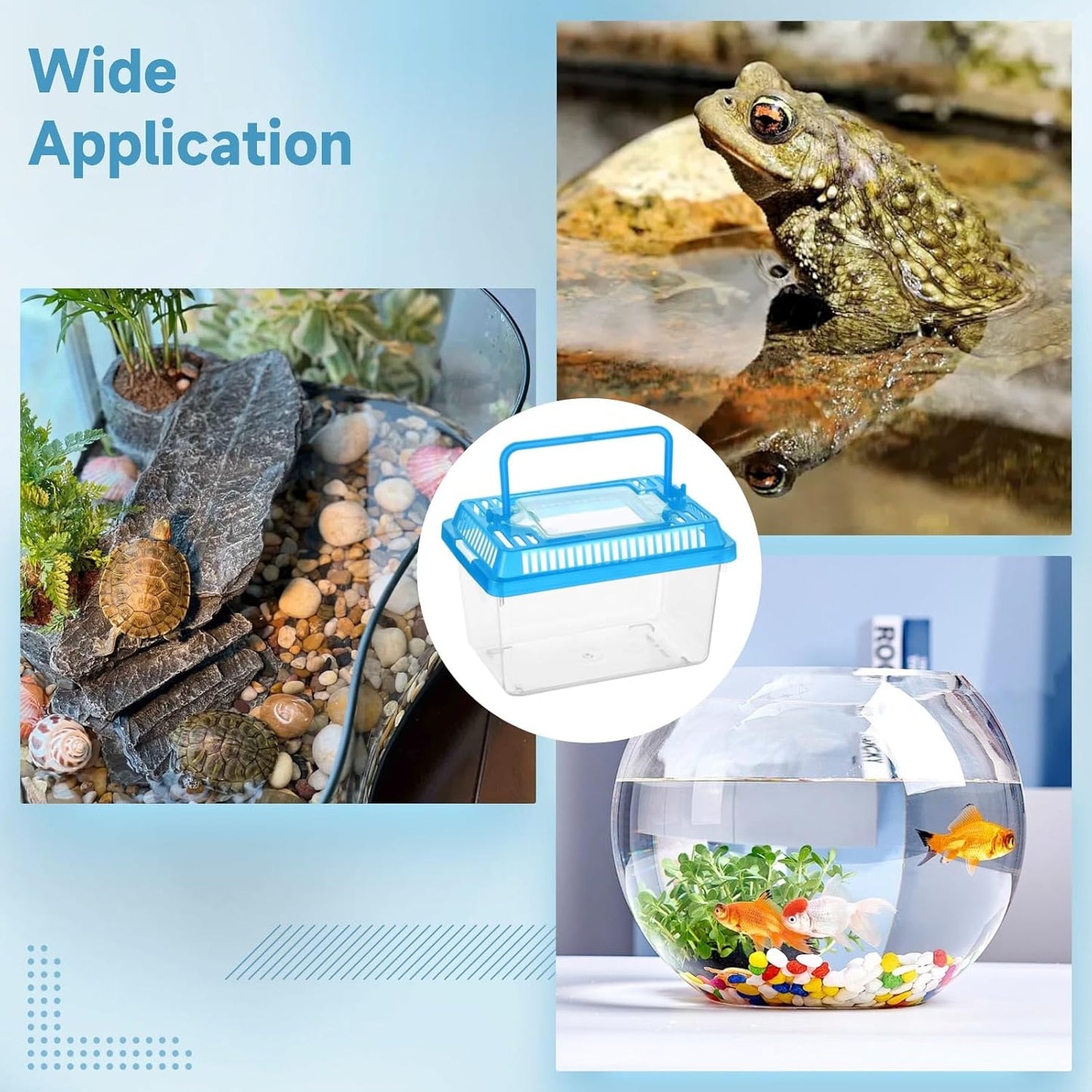 30 PCS Plastic Reptile Terrarium Carrier Cage, Portable Transparent Aquarium Box with Slotted Ventilation Holes for Turtle, Snake, Spider, Breeding, Hatching, Fish, 5 Colors Lid, 5 x 3.4 x 3.4 in