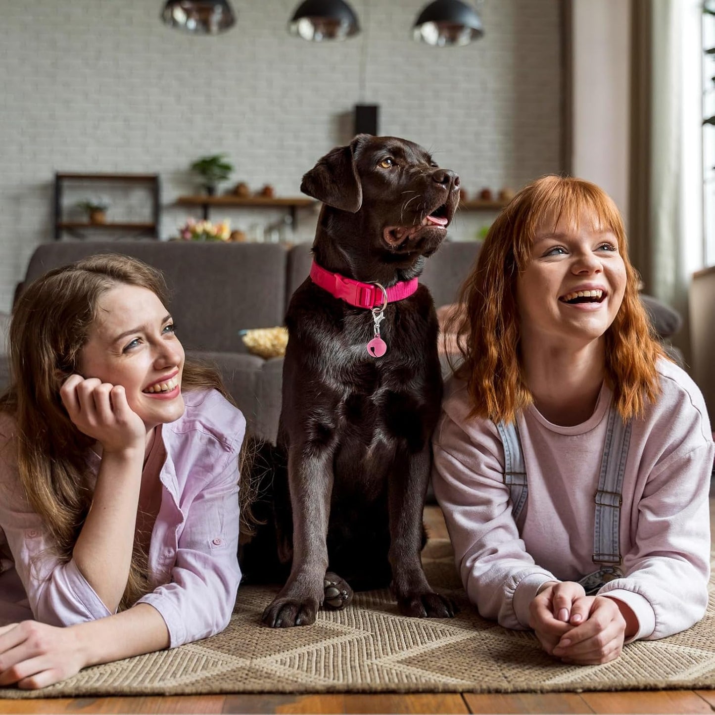 14 Pack Bells for Cat Dog Collars Charms Colourful Pet Small Bells with Clasps Cat and Dog Round Bell Pet Collar Accessories for Collars