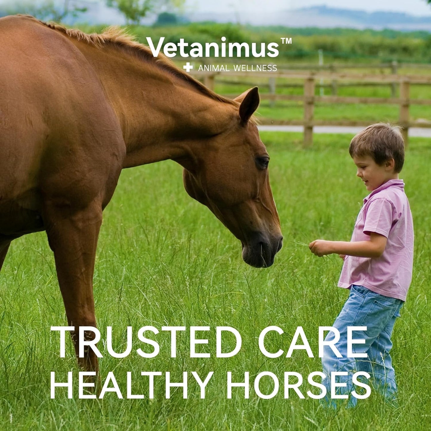 Horse Weight Gain Supplement Weight Build & Coat Glow Supplement for Horses Grounded Flaxseed with Omega-3 840g