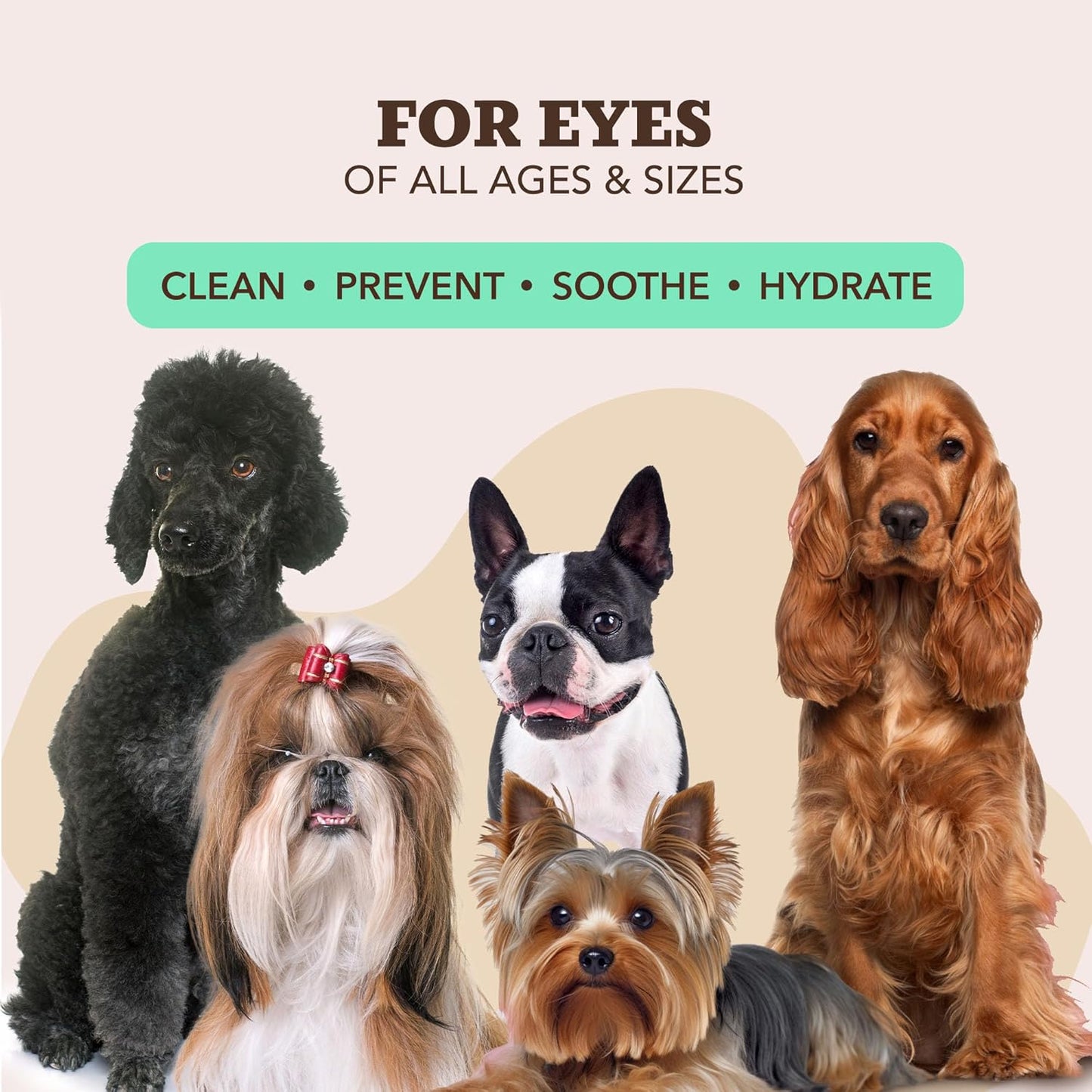 Natural Dog Company XL Grooming Wipes for Dogs – Hypoallergenic, Biodegradable, Fragrance Free – Aloe Vera & Witch Hazel – 7×8 Wipes for Paws, Face, Ears & Butt – Sensitive Skin Pet Wipes - 50 Count