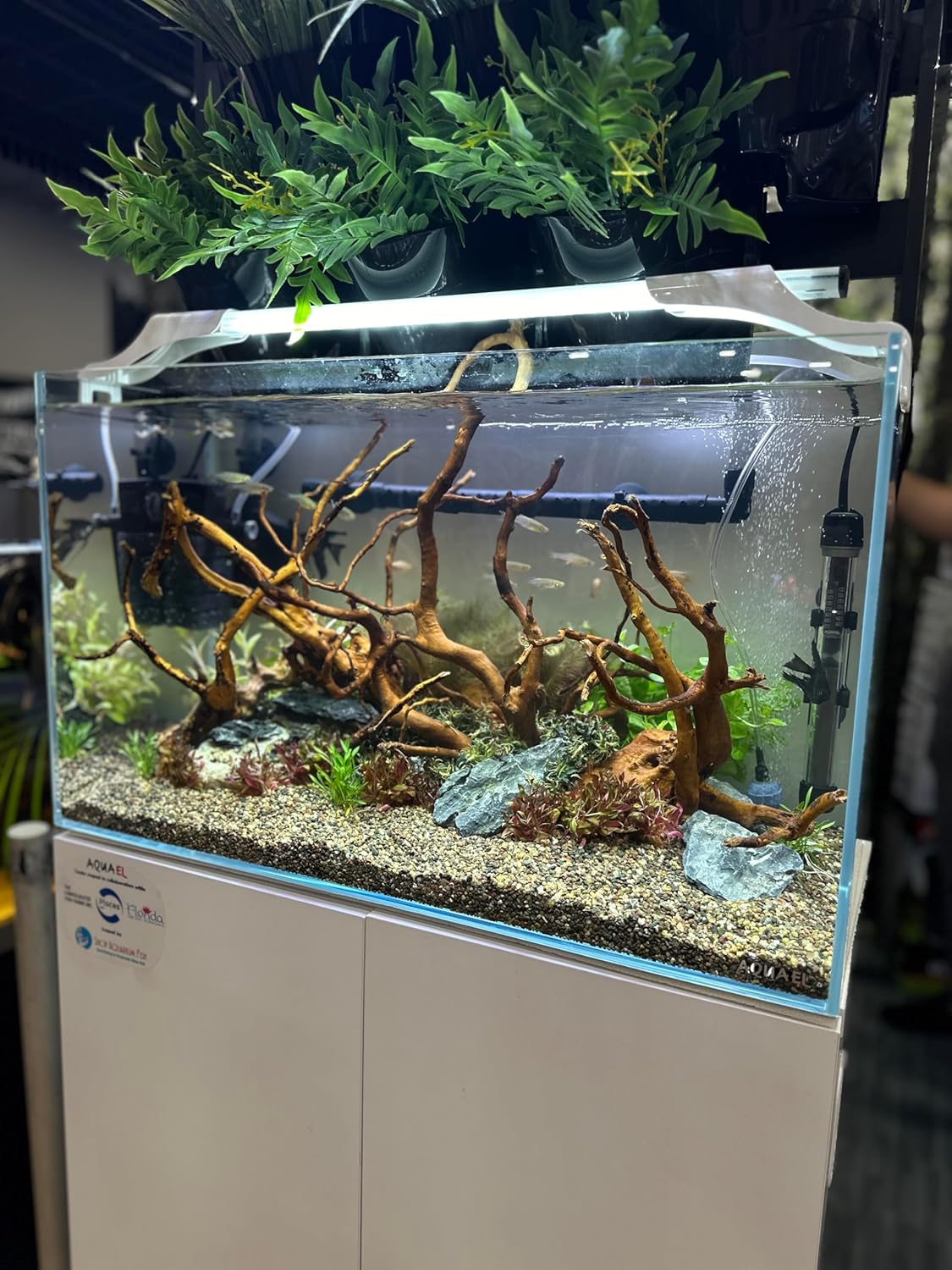 Aqua Natural Midnight Pearl 20lb Gravel Substrate for aquascaping, Aquariums, vivariums and terrariums 2-4mm, Brown