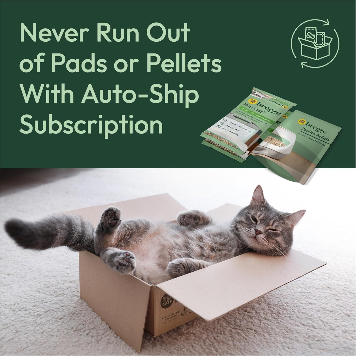 Purina Tidy Cats Litter System, Non-Clumping, Breeze XL All-in-One Odor Control & Easy Clean Multi Cat Box - 18 lb. Box