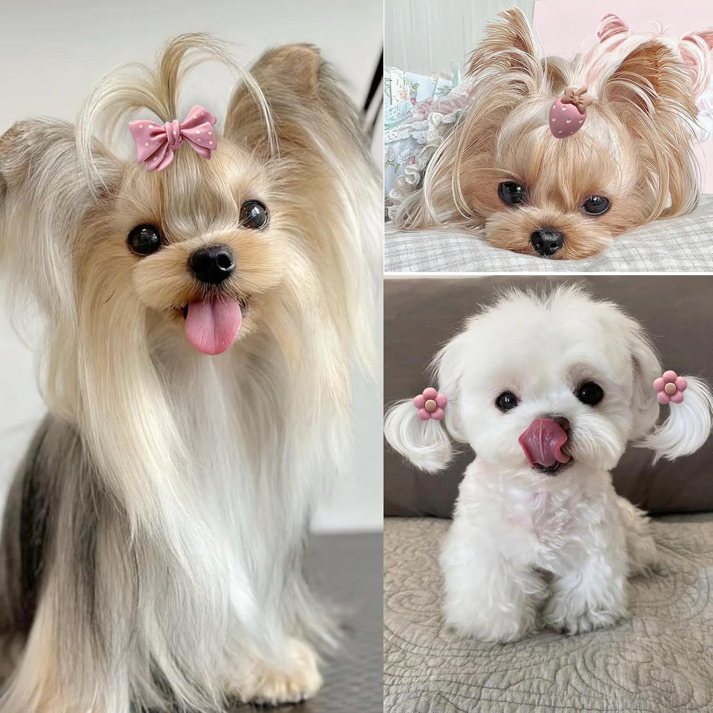 20 Pcs Light Pink Small Dog Hair Bows with Rubber Bands Puppy Bows for Ears Cute Grooming Flower Bowknot Strawberries Topknot Dog Hair Accessories for Small Dogs Girl Hair Ties for Yorkie Shih tzu