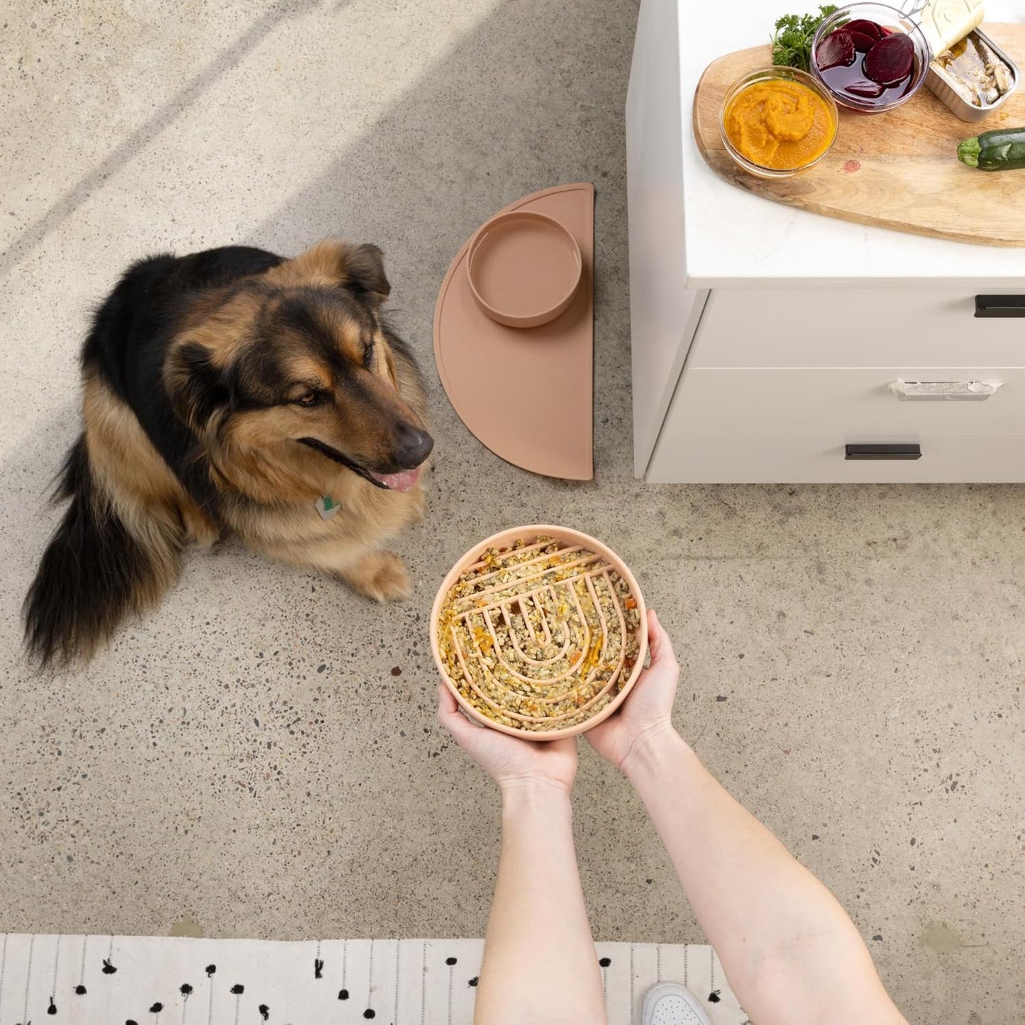 Should We Go? Slow Feeder for Dogs & Puppies, The Slowdown Bowl Silicone Slow Eating, Modern Lick Mat Design, Reduces Gulping, Fits 2.5 Cups, 9.5” Across x 1.5” Tall, Mealtime Challenge, Large-Spruce